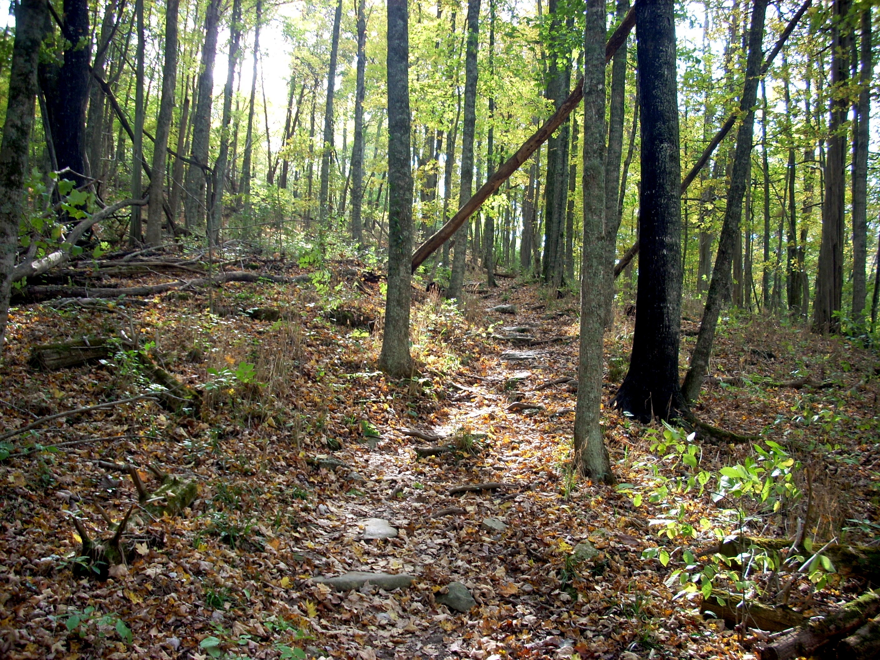 Rave Run Hiking Red Trail